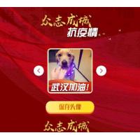 武汉加油抗击疫情口罩冠状头像生成代码团啊