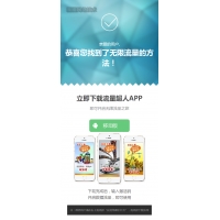 app单页 手机下载页面模板 html+css 单页模板 手机软件单页模板